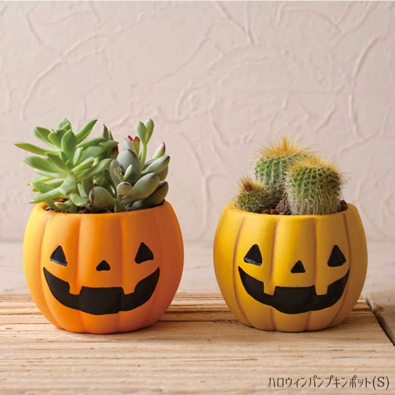 Amazon.co.jp: 【ハロウィンパンプキン陶器ポット】HALLOWEEN ジャック