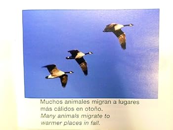 Paperback Migracion =: Migration Book