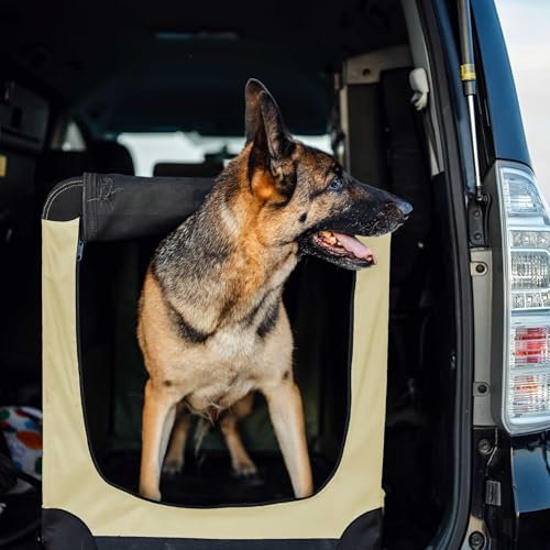 Fudajo Faltbare Transportbox für Hunde, Katzen XXXL (101x68x70cm), robust, leicht, sicher, Hundebox mit Tragegriff und Decke, Beige