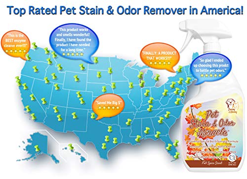 Pet Stain & Odor Miracle - Enzyme Cleaner for Dog and Cat Urine, Feces, Vomit, Drool (Fall Spice Scent, 32 FL OZ)