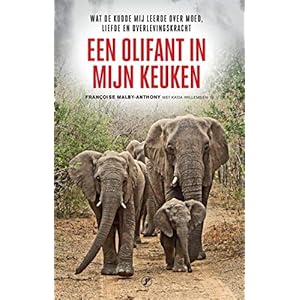 Een olifant in mijn keuken