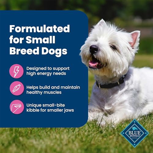 image for Blue Buffalo Life Protection Formula Adult Small Breed Dry Dog Food, S