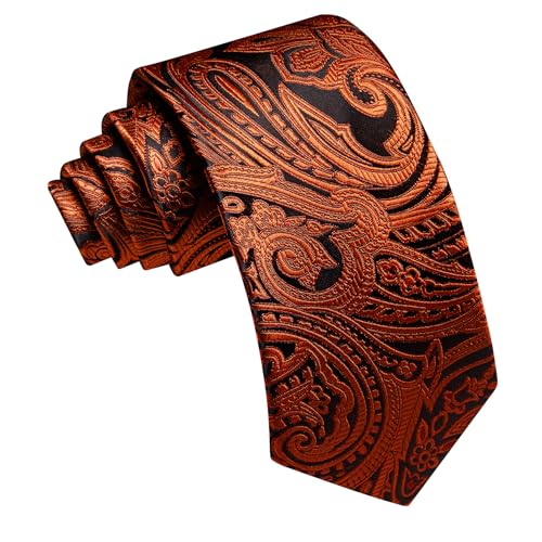 Image of Barry.Wang Paisley Tie for Men Silk Woven Necktie and Tie Clip Set Wedding Party Business Formal