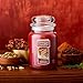 Yankee Candle Sparkling Cinnamon Scented, Classic 22oz Large Jar Single Wick Candle, Over 110 Hours of Burn Time | Holiday Gifts for All: Perfect for Fall and Winter Decor