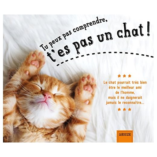 Tu peux pas comprendre, t'es pas un chat !
