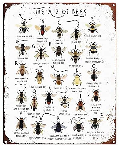 Tomlinsony Bee Print, Types of Bees Art, Alphabet, Bee Lover Gift, Bee, A-Z of Bumble Bees Metal Tin Sign Bar Home Decor Coffee Art Farm Wall Decor Poster 8x12 Inch