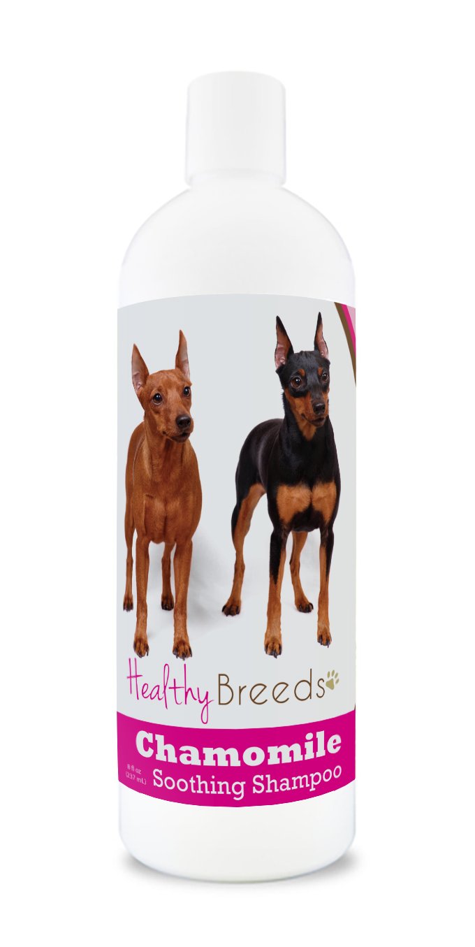 Healthy Breeds Yorkshire Terrier Chamomile Soothing Dog Shampoo 8 oz — view 105