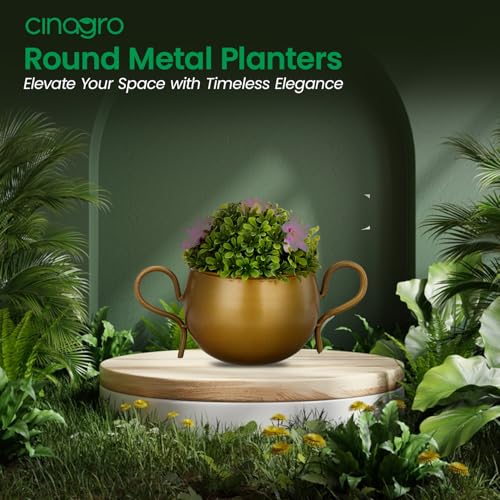 Image of CINAGRO Metal Flower Vase Planter Pot, Pots for Plants, Plant Pots for Home Decoration, Succulent Pot, Indoor Planter Garden Decor Style: Petal Palette