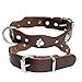PET ARTIST Collar de piel para perro pequeño con tachuelas de pata suave para mascota cachorro Chihuahua XXS XS S M marrón