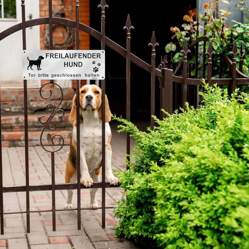Vorsicht Freilaufender Hund, 1 Stück Achtung Hund Schild, Schild Warnung vor Dem Hund, Warnschild Hund Aluminium mit Selbstklebend und Vorgebohrten Löchern, 25x 9cm, Innen/Außen