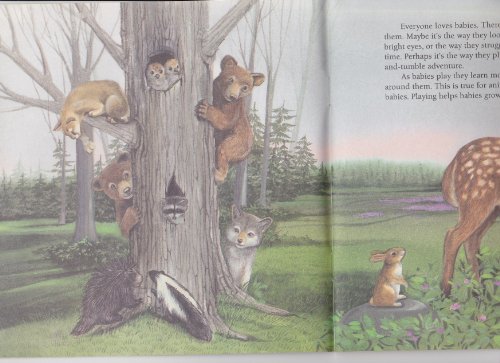 Wild Animal Babies (Look-Look) 0307125769 Book Cover