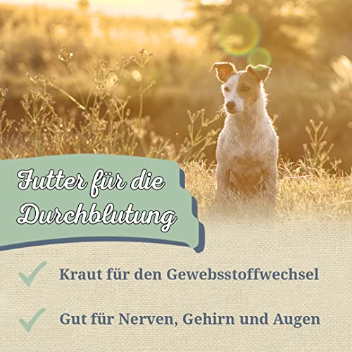 Krauterie Ginkgo für Hunde, Einzelfuttermittel für Hunde (100 g), Ginkgoblätter geschnitten in Spitzenqualität