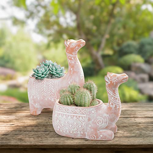 Large Camel Succulent Planters Pots - 9 + 7 Inch Sitting And Standing Animal Shaped Terracotta Ceramic Planter Set For Indoor Plants Cactus Houseplants Clay Pot Home Decor #TOP4