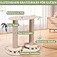 Novelfun Kratzsäulen Katzen Interaktives Katzenspielzeug Aus Holz Spielzeug Katzenbaum mit Federn und Sitzstange für Kleine und Mittlere Erwachsene Katzen
