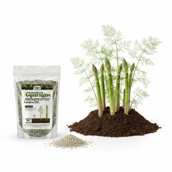 Old Cobblers Farm™ Wicked Organics Organic Asparagus Fertilizer - All-Natural Plant Nutrients for Healthy Growth (5lbs/10lbs/15lbs/20lbs) (5 lb)