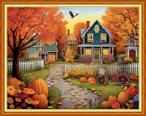 Image of Redxing Stamped Cross Stitch Kits Embroidery kit for Beginners Adults Full Range of Embroidery Patterns Starter Kits DIY Printed Cross Stitch Kits Needlepoint Kits 11CT-Beautiful Home 16x20 inch