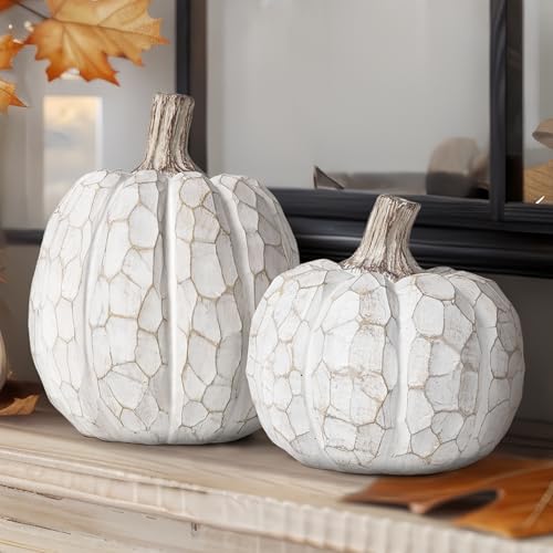 AELS Modern Farmhouse Pumpkins Fall Decor Indoor, Set of 2 Elegan...