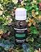 Eucalyptus Essential Oils ~100% Pure and Natural Aromatherapy Massage Oil - Undiluted-(10ml)