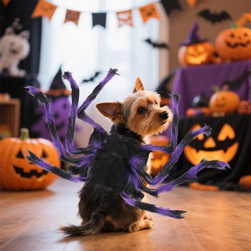 Disfraz de Araña para Perros Pequeños Halloween Ajustable miniatura 6