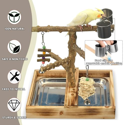 WishesMar Bird Playground Parrot Play Stand with Feeder Cup Climb Ladder and Tray Budgie Playground Cage Exercise Gym Toys for Parakeets Cockatiel Wooden - Image 4