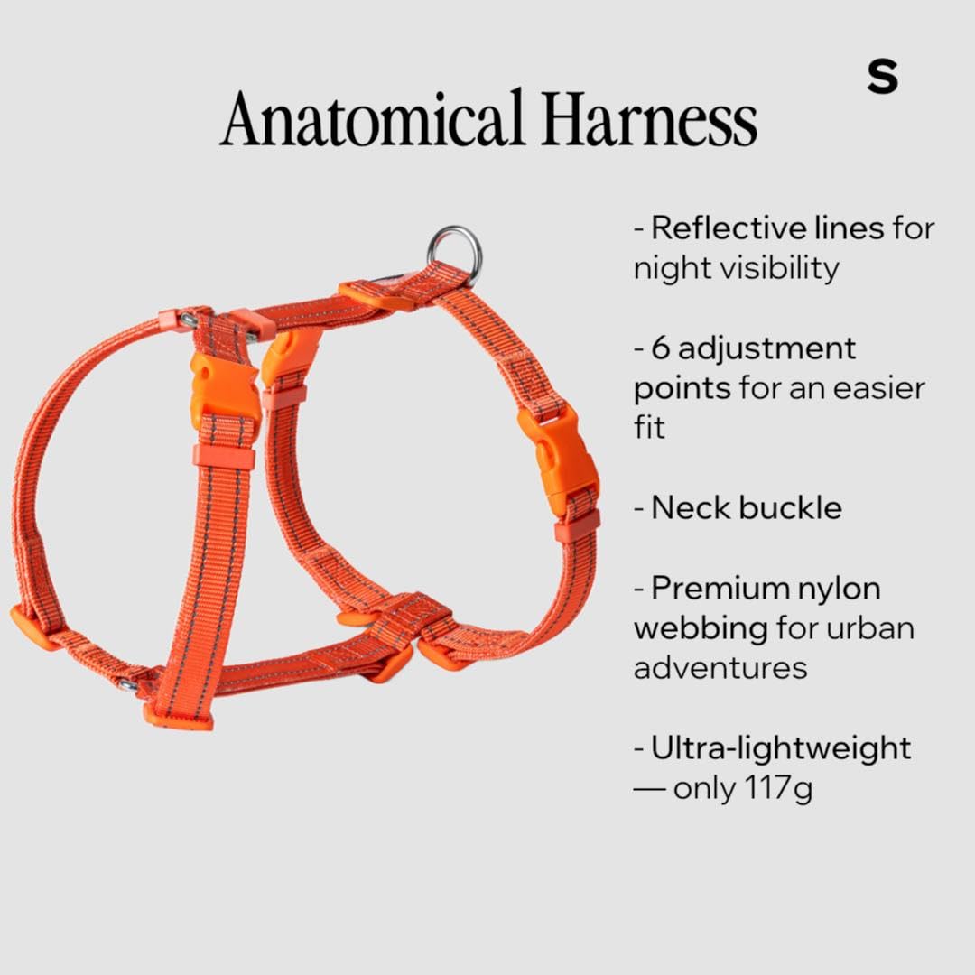 UrbanTails Y-Hundegeschirr S – Anatomisch, Reflektierend, 6 Verstellpunkte + Halsverschluss, Anti-Zug Brustgeschirr für Kleine & Mittlere Hunde (Orange, S)