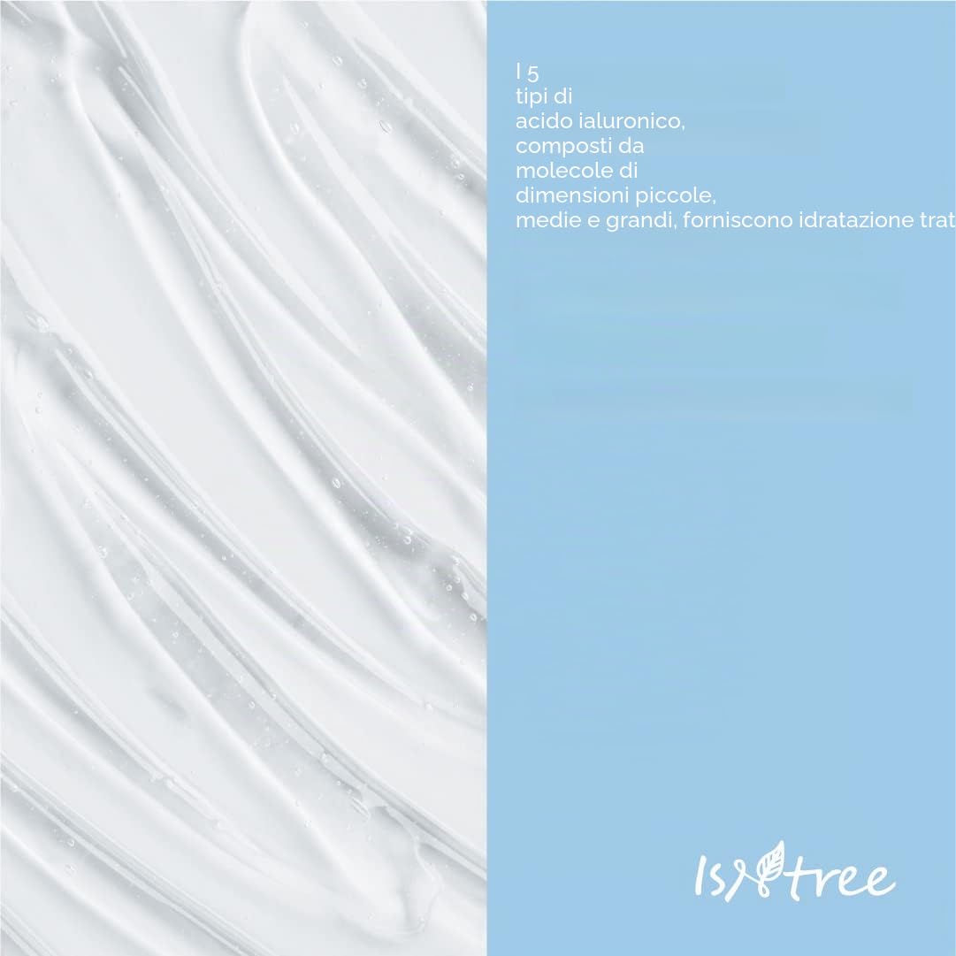 ISNTREE Hyaluronic Acid Water Sleeping Mask (100 ml)