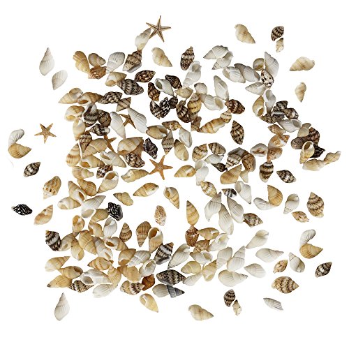 186 pcs Sea Shells Mixed Ocean Beach Seashells, Various Sizes Natural Seashells Starfish for Fish Tank, Home Decorations, Beach Theme Party, Candle Making, Wedding Decor, DIY Crafts, Fish Tan