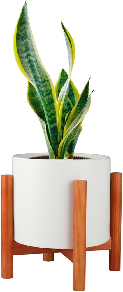 Amazon.com: Mozing Ceramic Plant Pots with Stand Indoor - Large