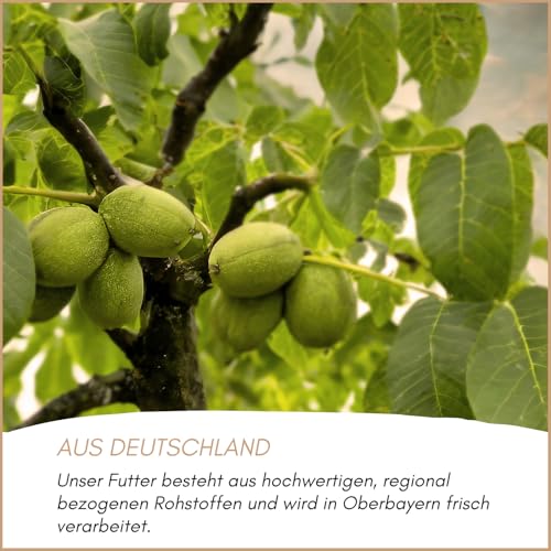 Supravit Frische Nüsse-Mix Eichhörnchen Futter 1kg | Futter für Eichhörnchen mit Haselnüsse, Walnüsse mit Schale für Eichhörnchen | Ganzjähriges Eichhörnchenfutter