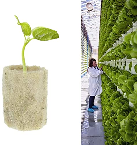50 piezas de cubos de lana de roca, tapones de arranque de lana de roca, hidroponía agrícola, se desarrolla el cultivo sobre el suelo, fuerte absorción de agua, propagación de raíces de p