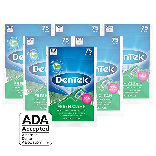 DenTek Fresh Clean Floss Picks | Silky Comfort Floss | 75 Count | 6 Pack