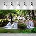 Waterfall Aquarium Background Jungle Plants Rocks Terrarium Background Falls Green Plants Natural Landscape Fish Tank Background Old Tree Waterfall Rock Style Reptile Background Vinyl 24x16in