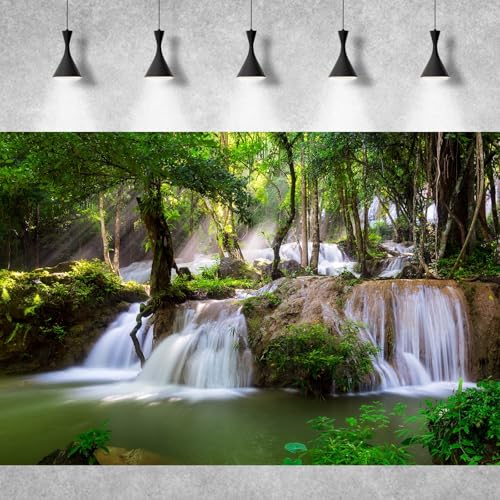 Image of Waterfall Aquarium Background Jungle Plants Rocks Terrarium Background Falls Green Plants Natural Landscape Fish Tank Background Old Tree Waterfall Rock Style Reptile Background Vinyl 24x16in