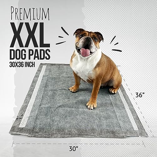 Image of Bulldogology Charcoal XXL Pee Pads for Dogs (30x36) Puppy Pee Pads with Adhesive Sticky Tape - Leak Proof Puppy Pads - Ultra Absorbing Charcoal Dog Pads - Activated Carbon Pee Pads (40-Count)