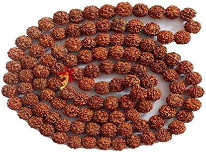 Best Quality Hand Picked 5 Mukhi Rudraksha Jap Mala (108 + 1 Beads) for Hindu Prayer, Meditation and Chanting