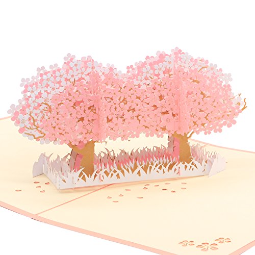 Omshanti Biglietti d’Auguri Pop-Up 3D Per Regali Unici nelle...