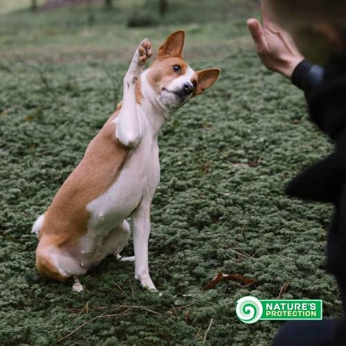 Nature's Protection Superior Care Trockenfutter für Hunde mit Empfindlich Haut und Magen - Hundefutter Trocken Getreidefrei für Alle Rassen mit Lamm, Erwachsene Hunde, 1.5kg