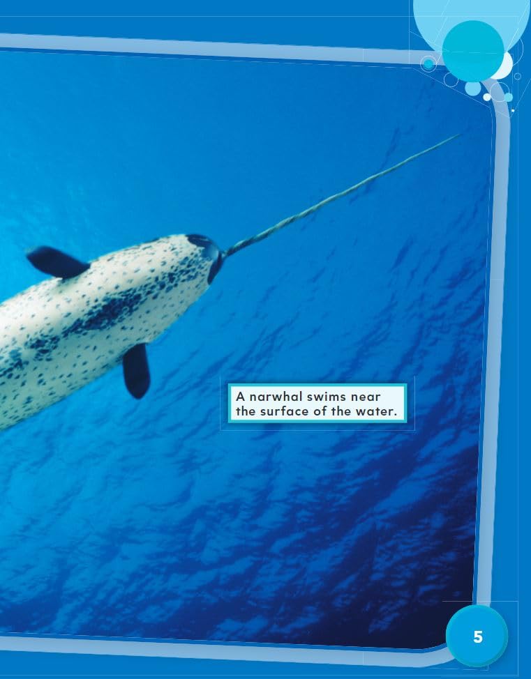 Teacher Created Materials 27331 Amazing Animals: Narwhals: Addition (Mathematics in the Real World) - Image 5