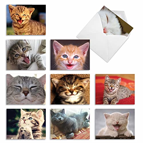 The Best Card Company - 10 All Occasion Blank Cat Cards (4 x 5.12 Inch) - Cute Assorted Bulk Card Set - Smitten Kittens M6485OCB