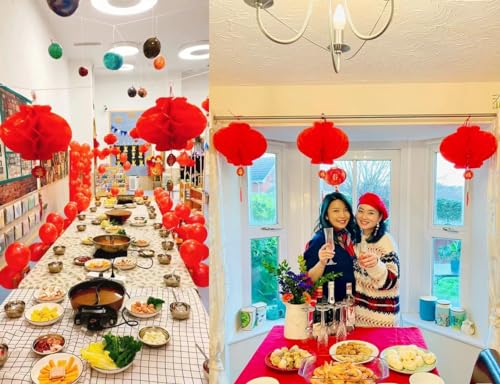 ZUJIEFU 20PS Holiday Decorations;Chinese Red Paper Lanterns Festival Decorations for New Year Spring Festival Wedding Celebration and Restaurant Lantern Festive Decoration Home Decor(10 INCH)