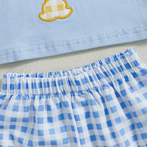 Image of Toddler Baby Boy Easter Rabbit Outfit Short Sleeve Bunny Carrot Smocked T-shirt Elastic Waist Shorts Summer Clothes