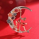 EINLEITUNG: Die schicke und atmosphärische Brosche kann als Ornament einer Kleidung verwendet werden.