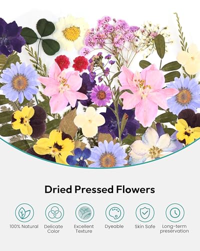 Image of Dried Flowers, Resiners 58Pcs Pressed Flowers for Craft Purple Real Natural Dried Flowers Dry Leaves Kit for DIY Making Crafts Resin Soap Candle Scrapbook Supplies Card Making Jewelry