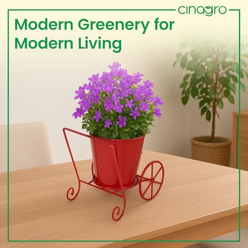 Image of CINAGRO Metal Wagon Planter, Red Pram Rickshaw-Shaped Metal Plant Stand for Indoor & Outdoor Use, 2 Wheel Pot Stand, Flower Vase, Decorative Iron Pot Holder for Flowers & Ornaments, 27 x 13 x 21 cm