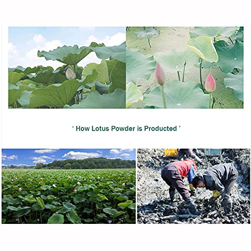 TULGIGS Lotus Root Powder 7Oz(200g) Natural 100% Pure Healthy Fiber Vitamin C Amino Acid Made In KOREA - Thumbnail 4