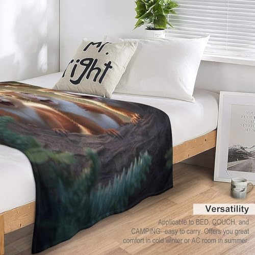 Couverture Écureuil Douillette pour Soirée Cocooning Canapé Lit - 7