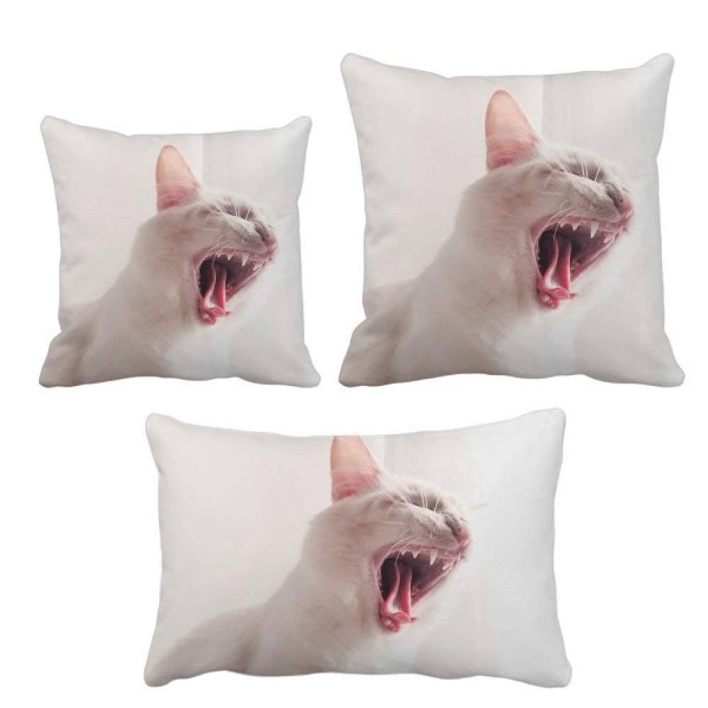 Housse de coussin chat féroce blanc taie décoration canapé lit
