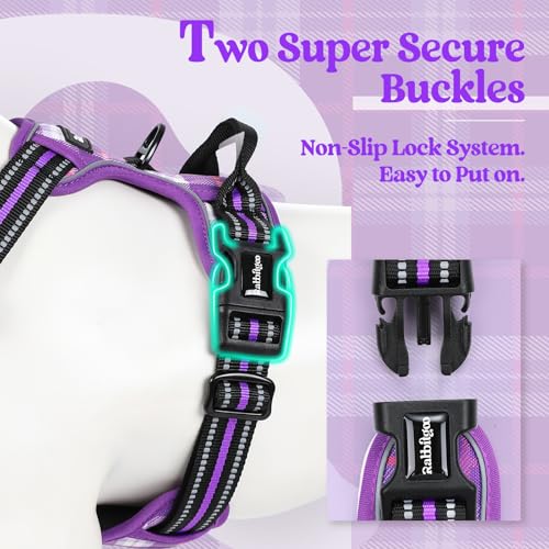 Image of rabbitgoo Dog Harness No Pull with 2 Leash Clips, Adjustable Soft Padded, Reflective Oxford No Choke Pet Vest with Easy Control Handle for Large Dogs, Purple Plaid, XL