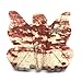 Nelson Creations, LLC 1.5 Inch Butterfly Natural Soapstone Hand-Carved Animal Charm Totem Stone Carving Figurine