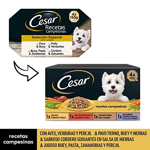 Cesar Nassfutter für Hunde, Auswahl bäuerliche Rezepte in Sauce, Multipack (6 x 4 Becher x 150 g)